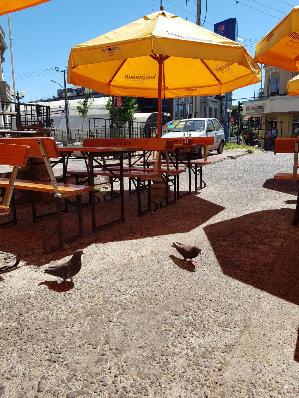 Ratten der Luft – oder wie man ein verschissenes Problem in den Griff bekommt