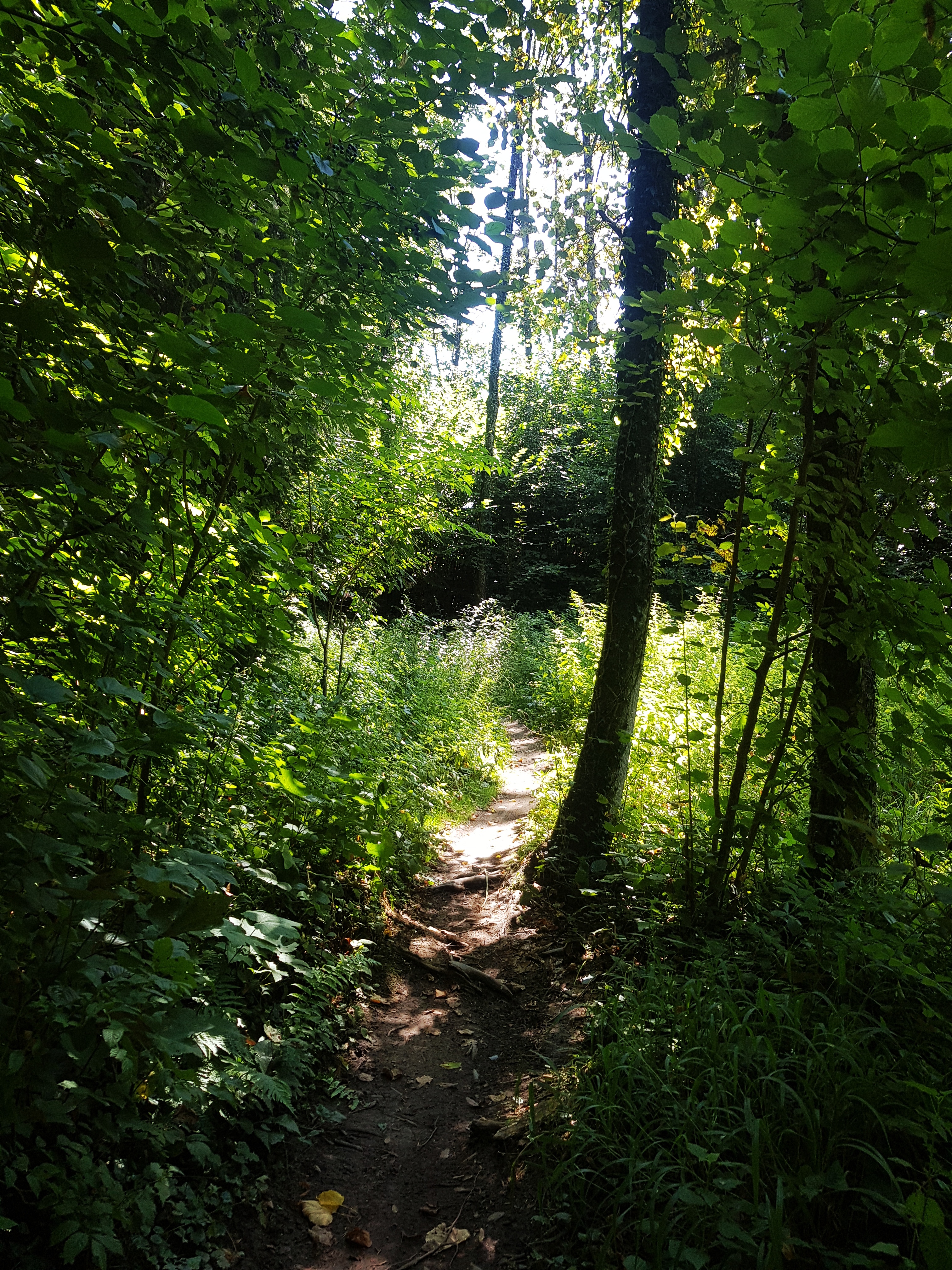 Trailrunning: Verloren, irgendwo im Nirgendwo